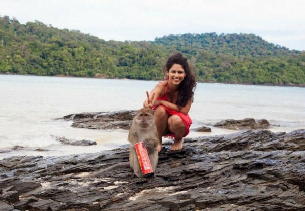 Немного юмора (60 фото)