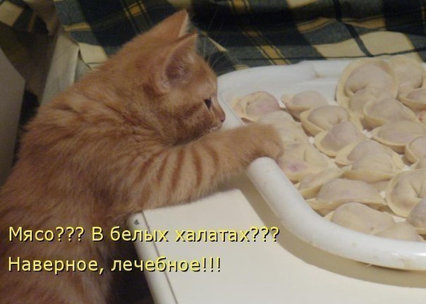 Немного юмора (60 фото)