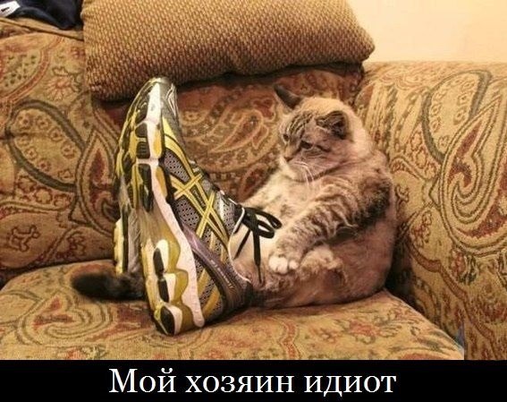 Немного юмора (60 фото)