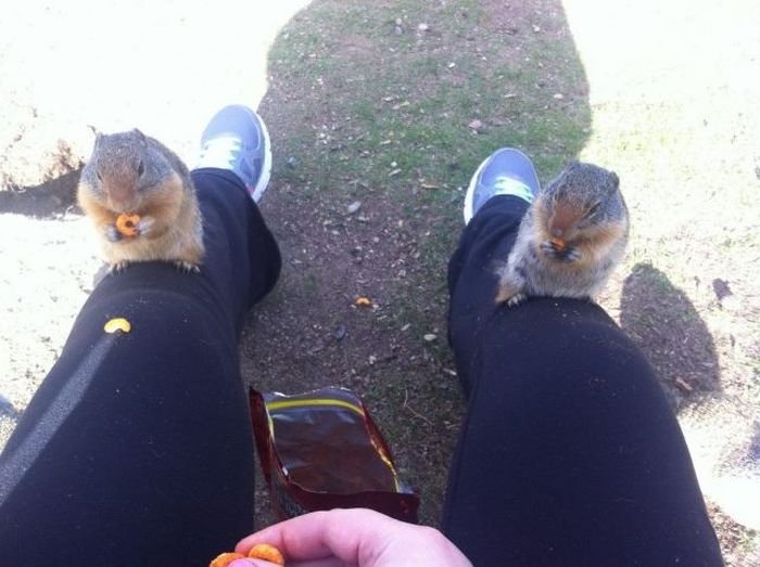 Немного юмора (60 фото)