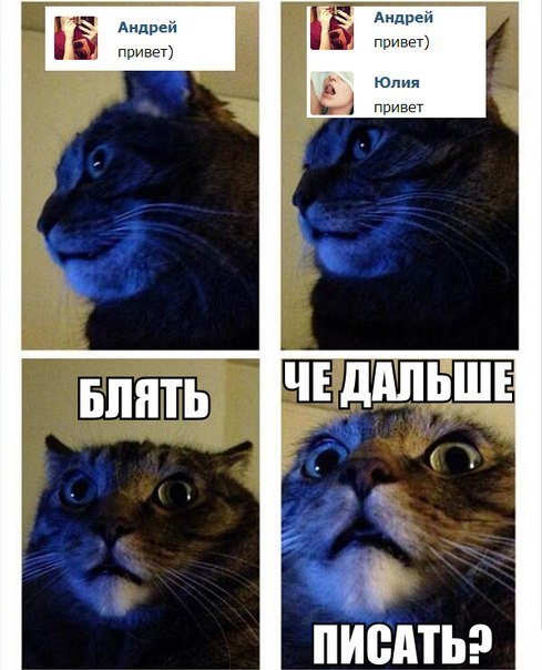 Немного юмора (60 фото)