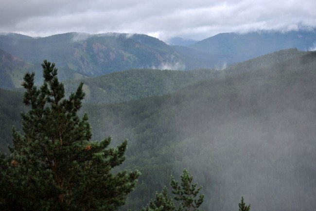 Поздравляю ВСЕХ!!!