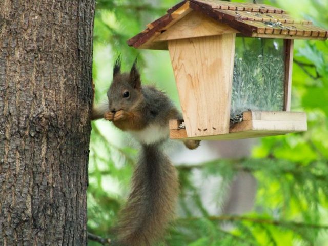 Что тут происходит? (44 фото)