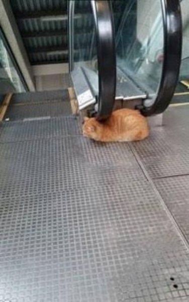 Что тут происходит? (44 фото)