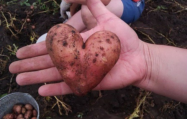 Что тут происходит? (44 фото)