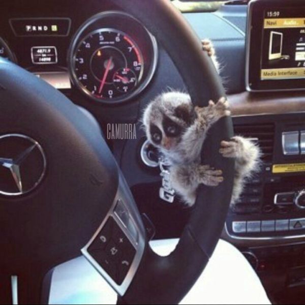 Что тут происходит? (44 фото)