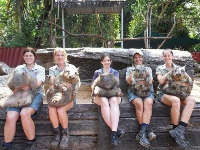 Что тут происходит? (44 фото)