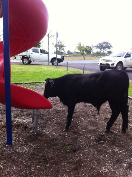 Прикольные картинки (108 фото)