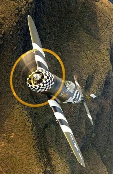 Прикольные картинки (108 фото)