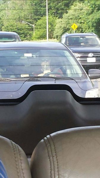 Прикольные картинки (108 фото)