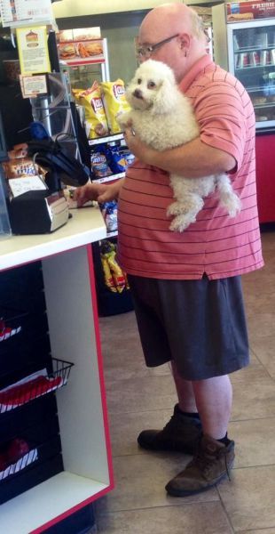 Прикольные картинки (108 фото)