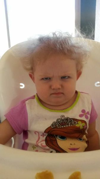 Прикольные картинки (108 фото)