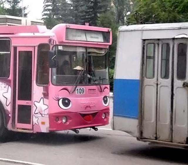 Прикольные картинки (108 фото)