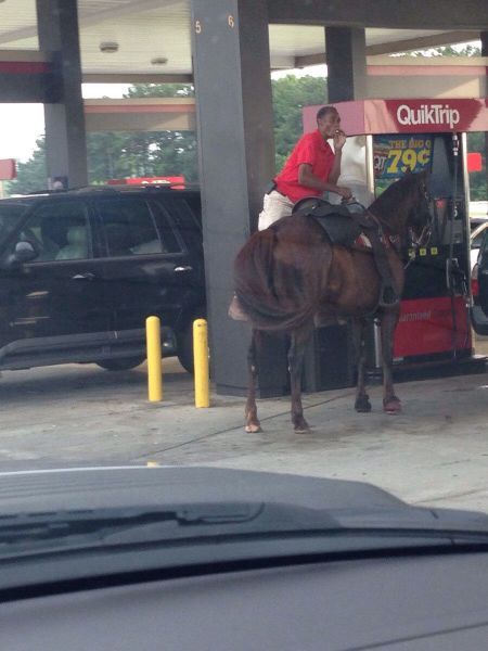 Прикольные картинки (108 фото)