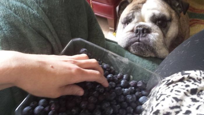 Прикольные картинки (108 фото)