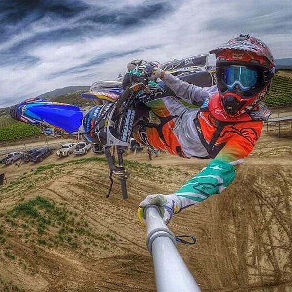 Прикольные картинки (108 фото)