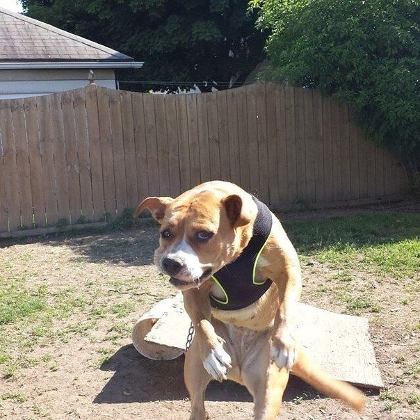 Прикольные картинки (108 фото)