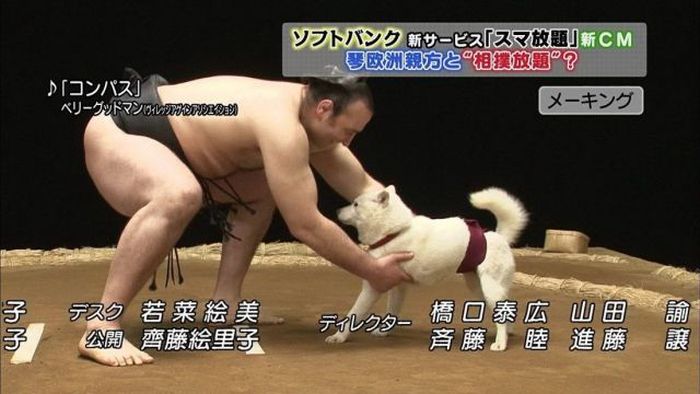 Прикольные картинки (108 фото)