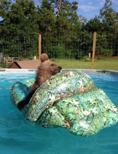 Прикольные картинки (108 фото)