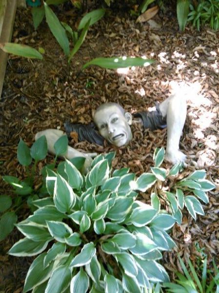 Прикольные картинки (108 фото)