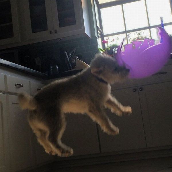 Прикольные картинки (108 фото)