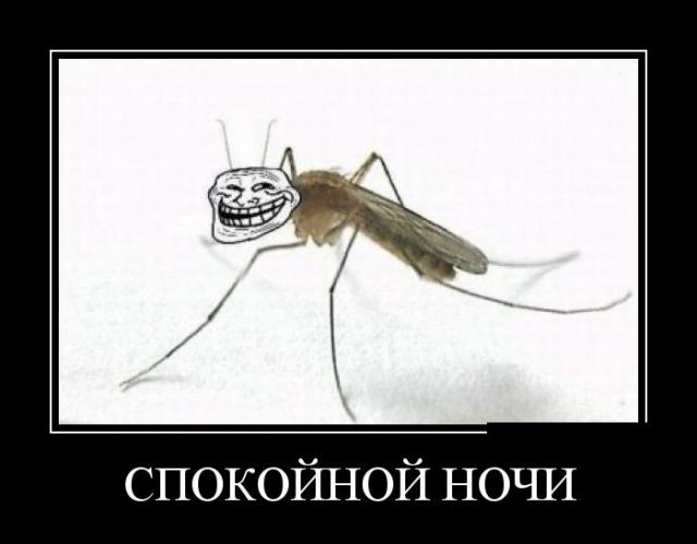 Демотиваторы (30 фото)