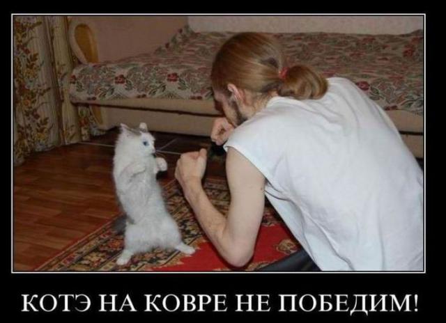 Демотиваторы (30 фото)