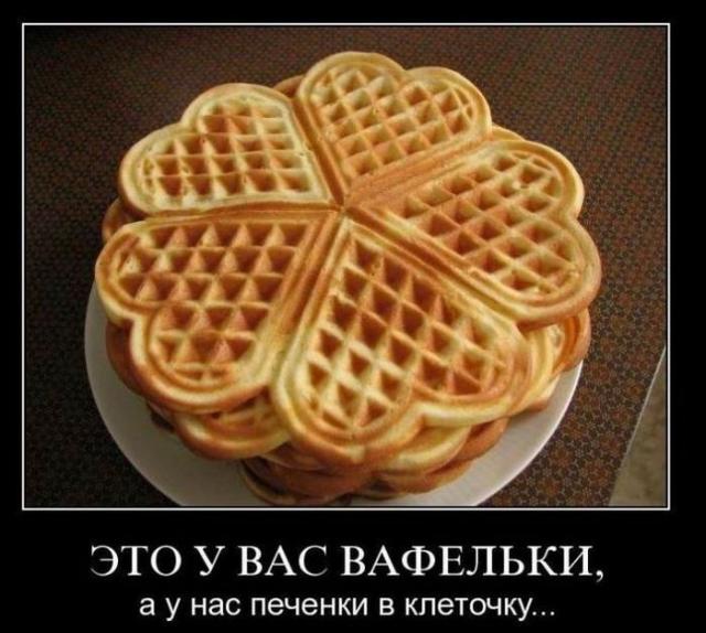 Демотиваторы (30 фото)