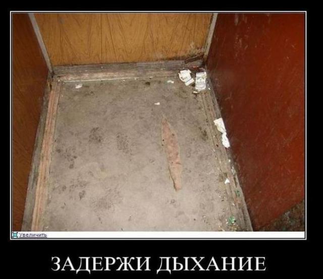 Демотиваторы (30 фото)