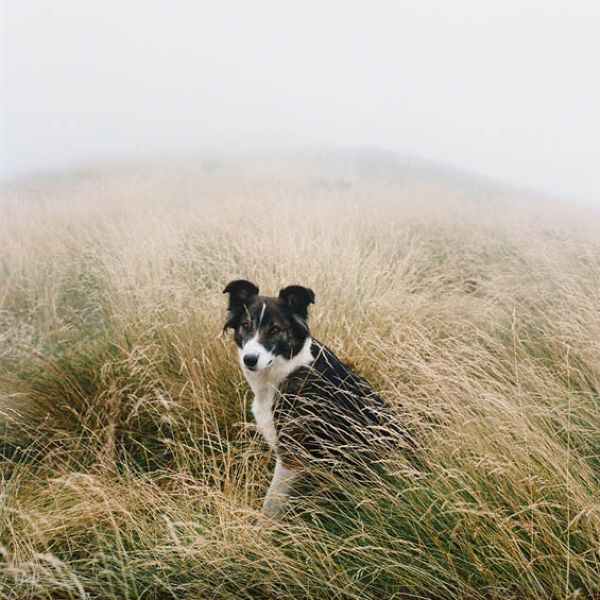 Нехитрый быт европейских дауншифтеров