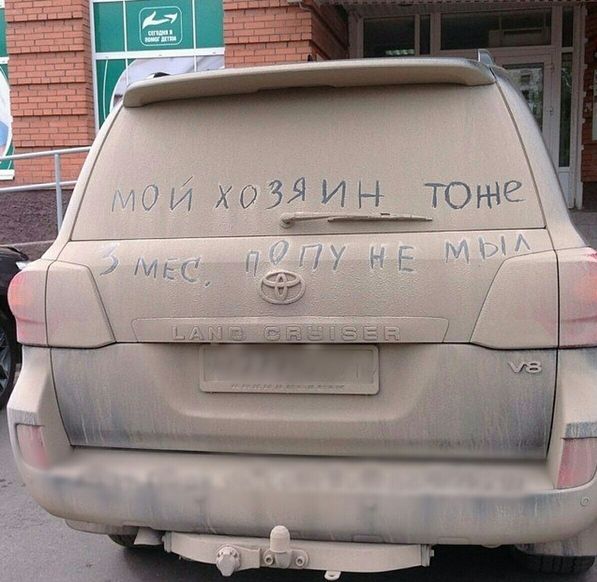 Прикольные картинки (101 фото)