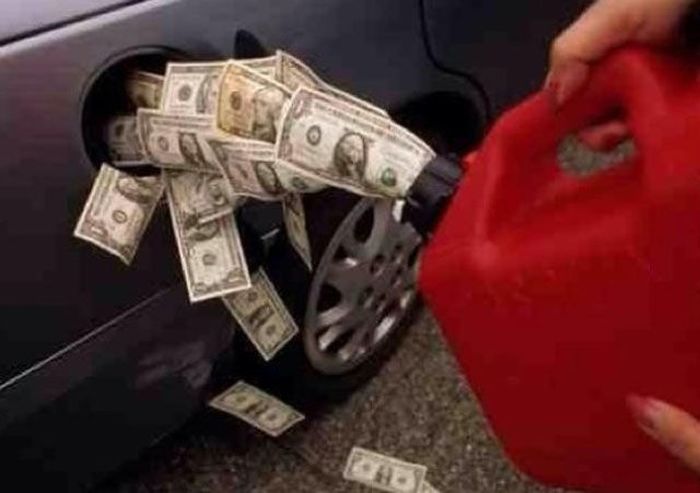 Прикольные картинки (101 фото)