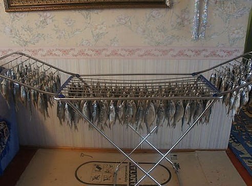 Прикольные картинки (101 фото)