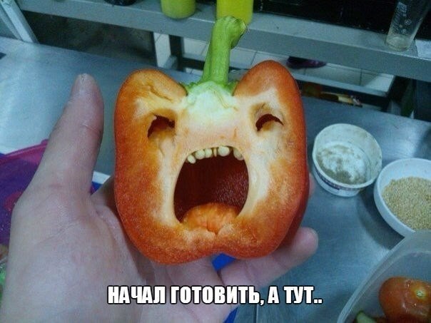 Прикольные картинки (101 фото)