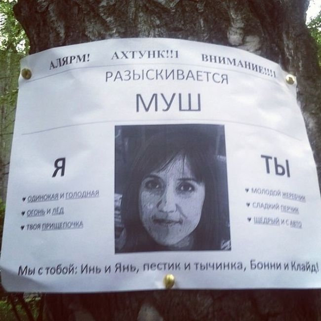 Прикольные картинки (101 фото)