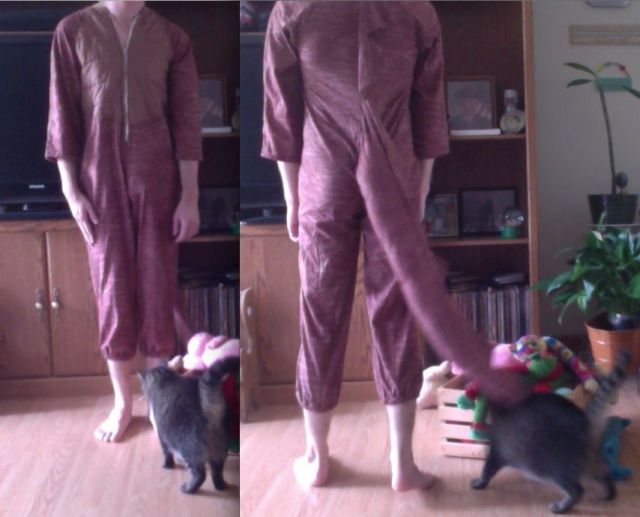 Прикольные картинки (101 фото)