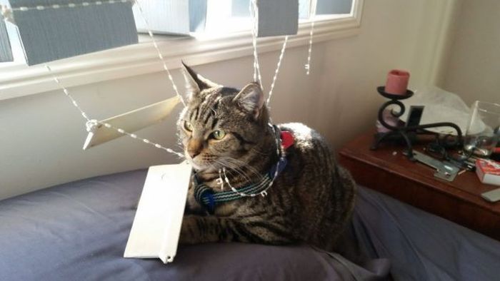 Прикольные картинки (101 фото)