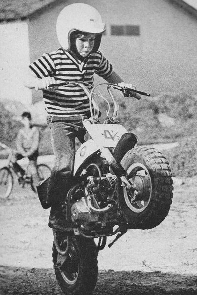 Прикольные картинки (101 фото)