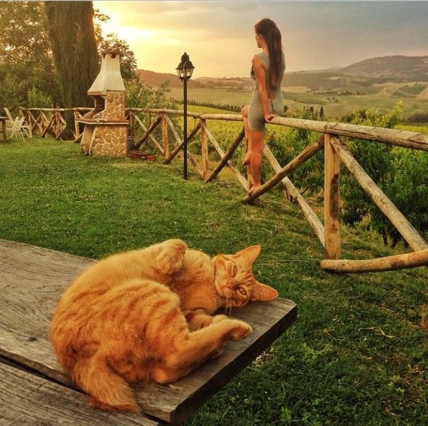 Прикольные картинки (101 фото)