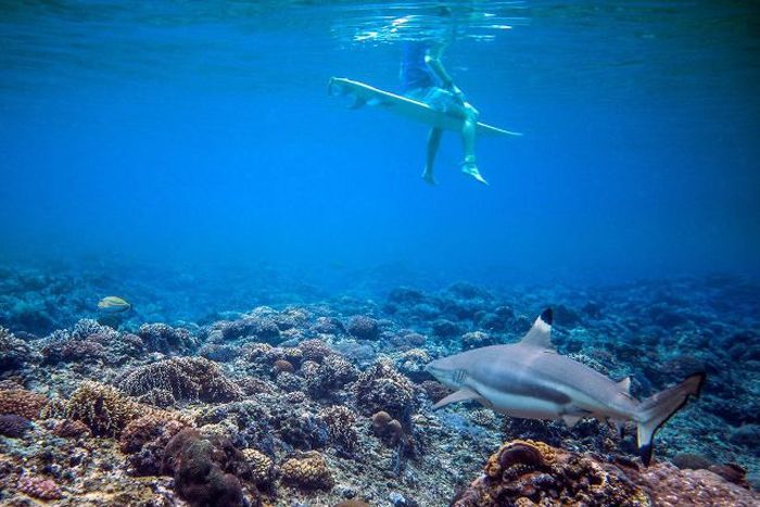 Прикольные картинки (101 фото)