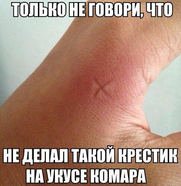 Прикольные картинки (101 фото)