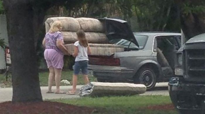 Прикольные картинки (101 фото)