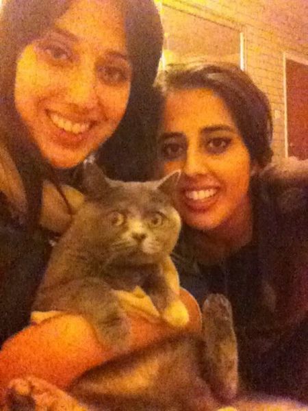 Прикольные картинки (101 фото)