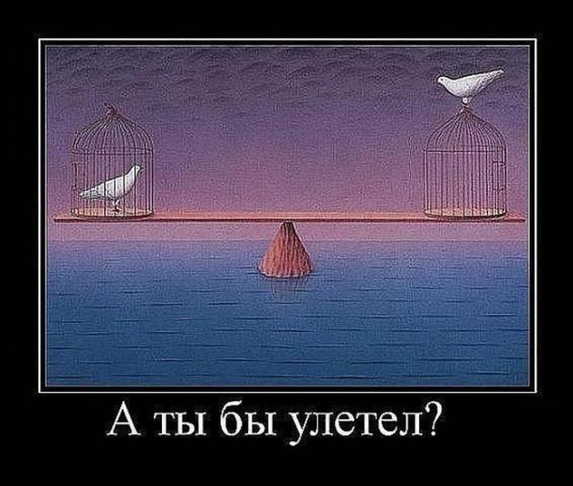 Демотиваторы (30 фото)