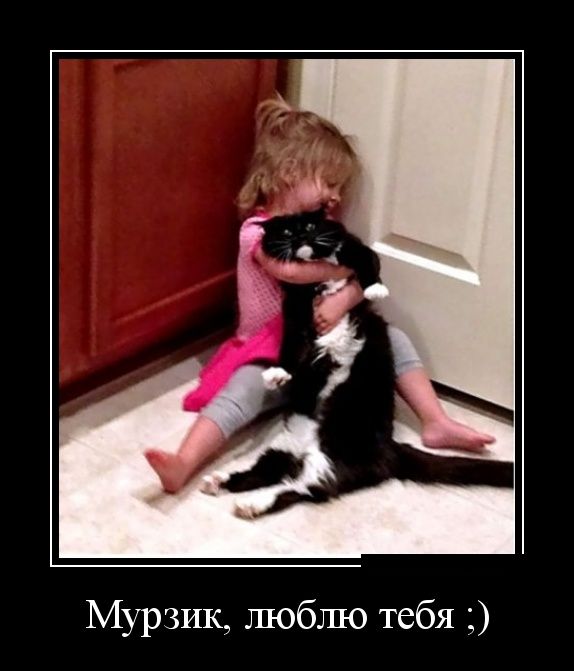 Демотиваторы (30 фото)