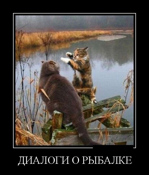 Демотиваторы (30 фото)