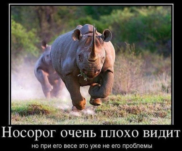 Демотиваторы (30 фото)