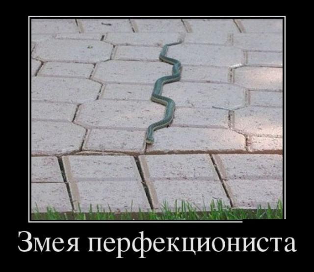 Демотиваторы (30 фото)