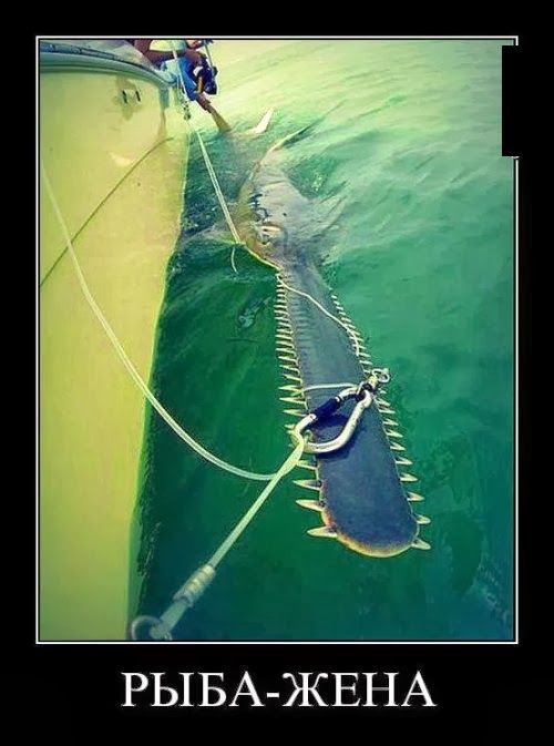 Демотиваторы (30 фото)