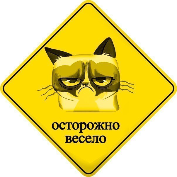 Приколы из соц сетей